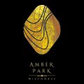 Korty do padla - Amber Park Spa Niechorze - logo